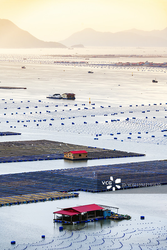 海上家园--福建宁德霞浦下浒镇燕宿村海上养殖场图片素材