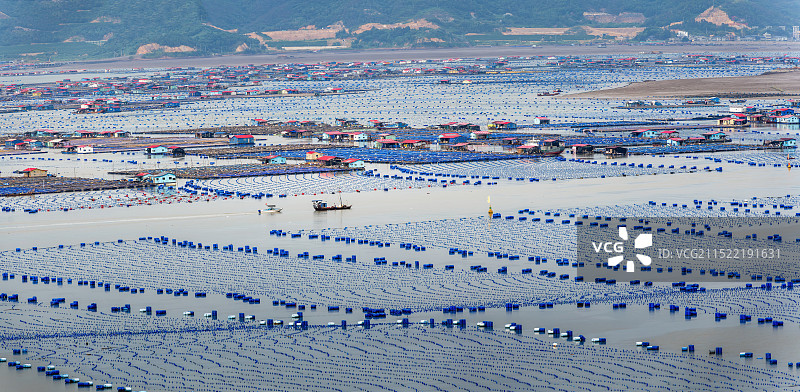 海上家园--福建宁德霞浦下浒镇燕宿村海上养殖场图片素材