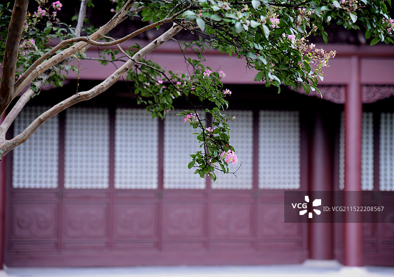 庭院花开图片素材