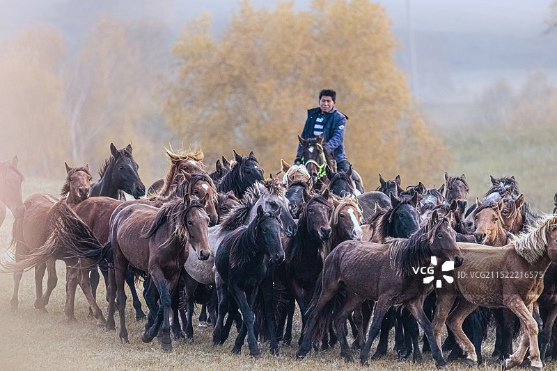 牧马人图片素材