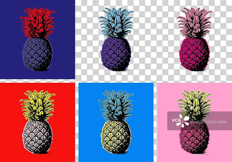 异域热带菠萝套装图片素材