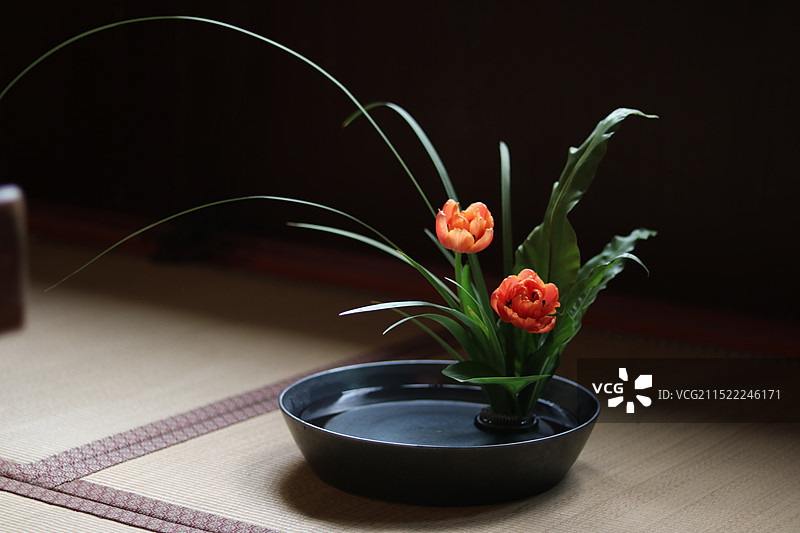 非遗 中式插花作品集图片素材