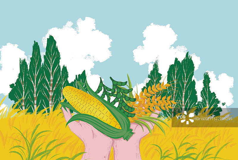 彩色 插画 卡通手绘 手拿玉米 收获 金黄色 乡村 蓝天白云 秋季 农村 作物 粮食图片素材
