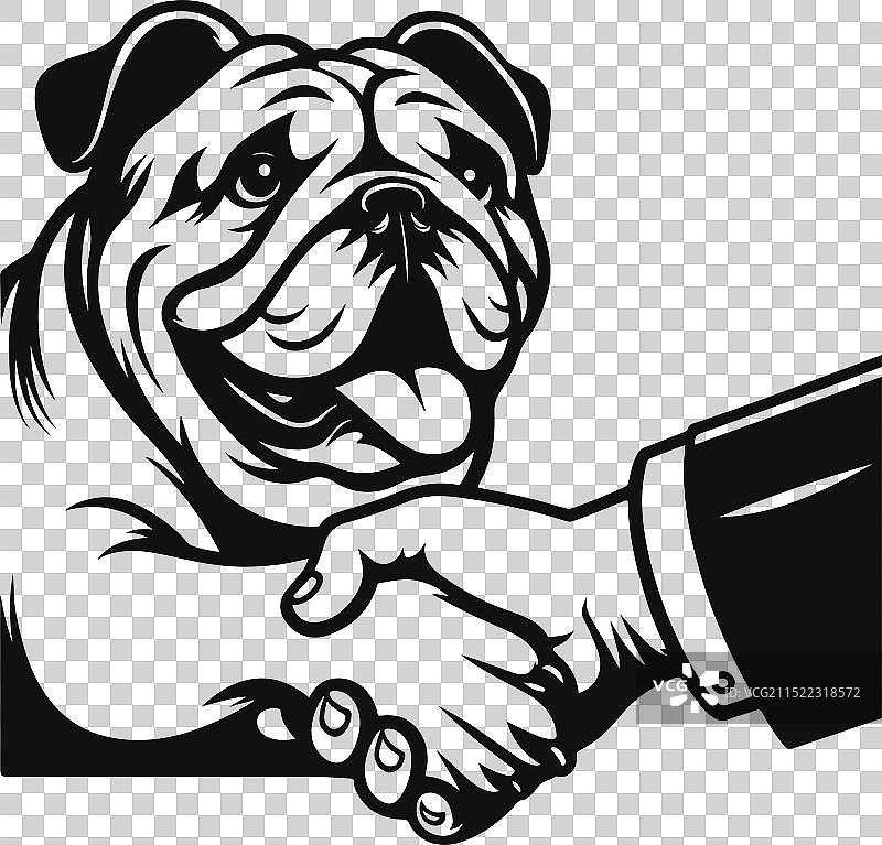 红发法国斗牛犬握手图片素材