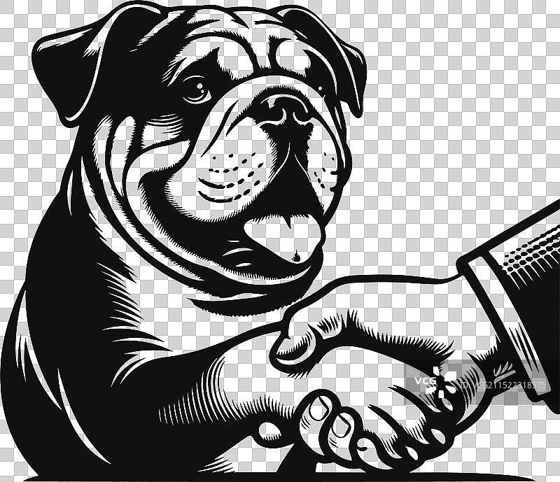 红发法国斗牛犬握手图片素材