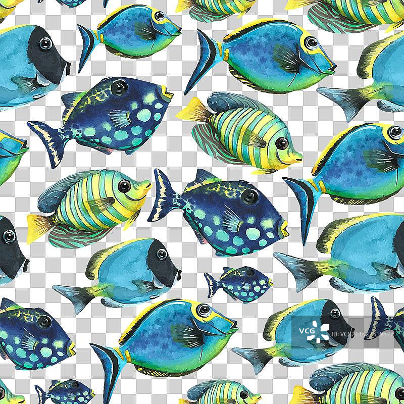 各种热带鱼群水彩画图片素材