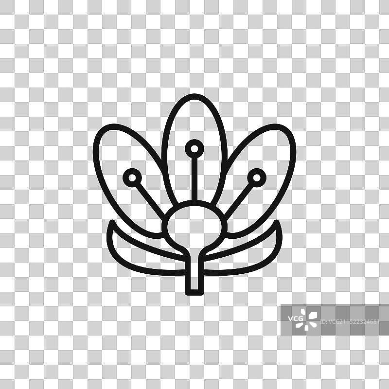 黑色番红花图标轮廓合集图片素材