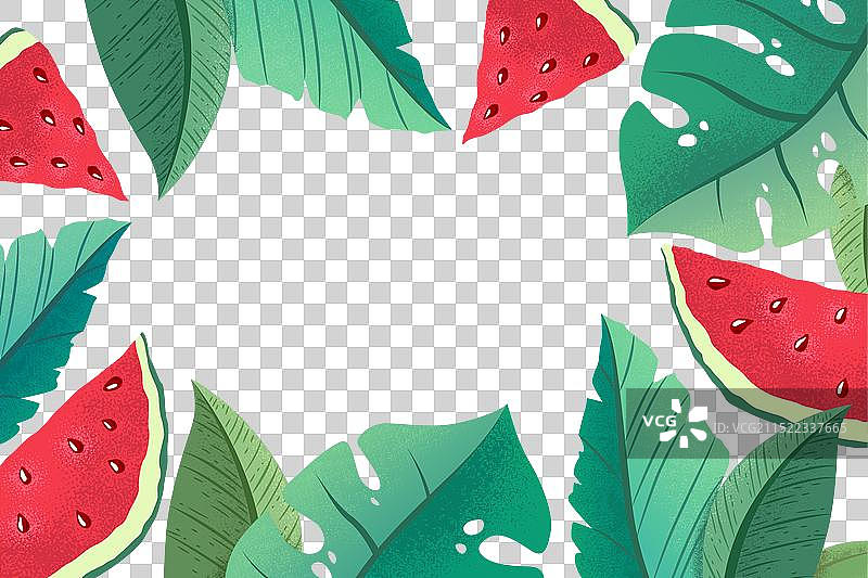 抽象异国情调棕榈叶西瓜图片素材