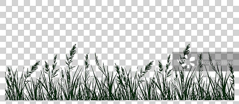 涂鸦草地图片素材