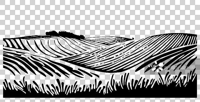 乡村田野成熟小麦与云朵图片素材