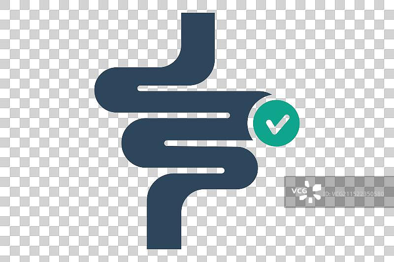 与消化系统相关的肠道图标图片素材