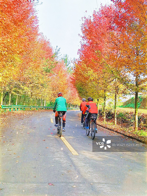 时光最美是清秋图片素材