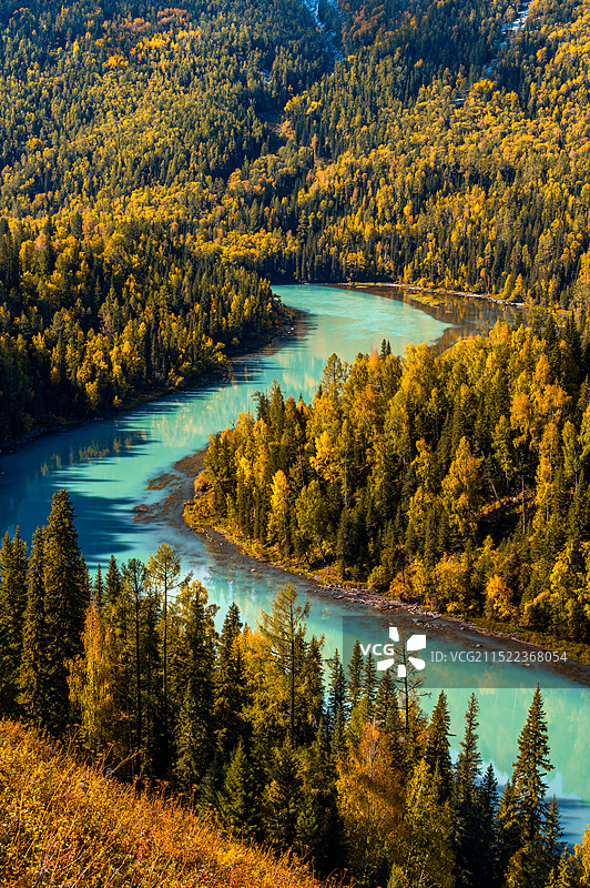 秋天的喀纳斯景区中的月亮湾景点图片素材