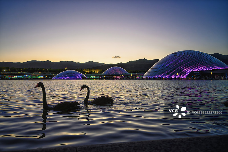 蓝调时刻下的太原植物园风景壁纸图片素材