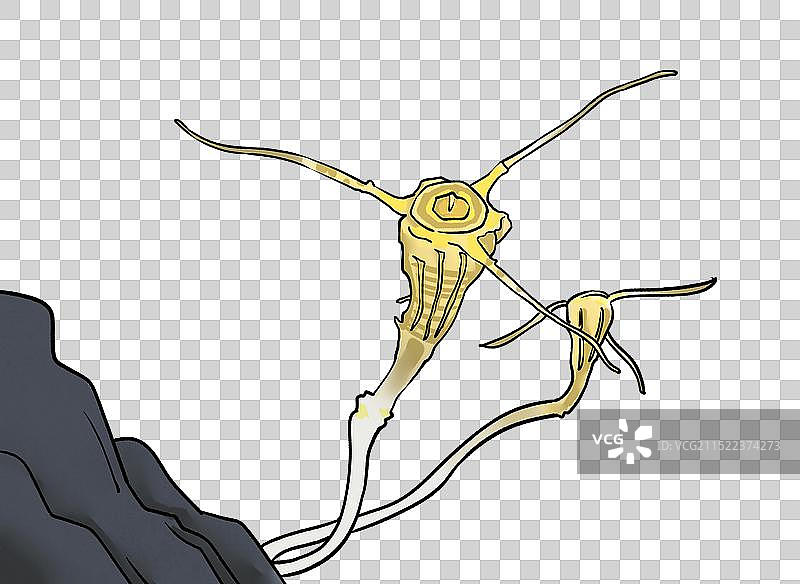 金樽水玉杯新物种植物手绘元素图片素材