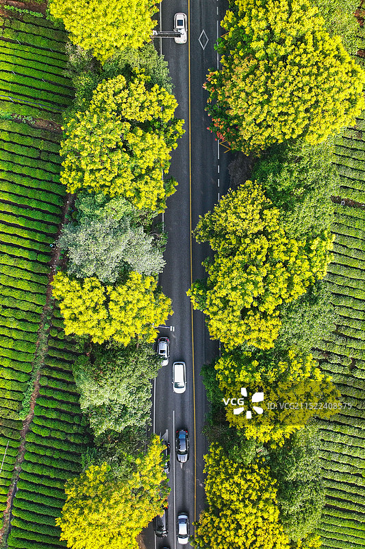 俯拍下的秋色与公路图片素材