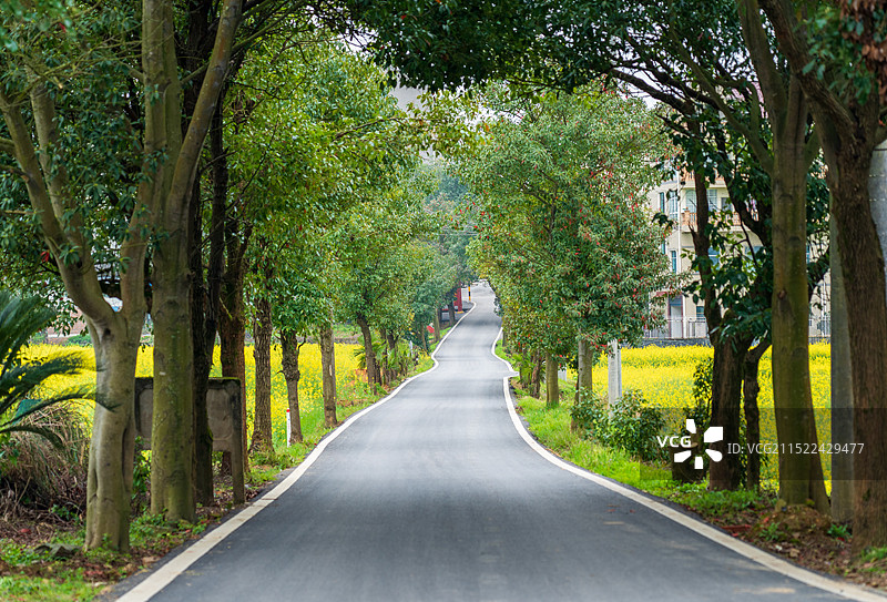 农村乡间小路图片素材