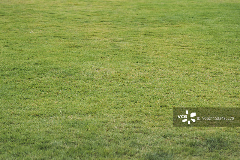 杭州西湖区之江艺创小镇 无人的草地图片素材