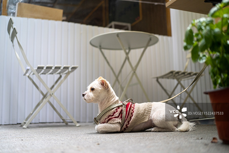 成都玉林纪实图片素材