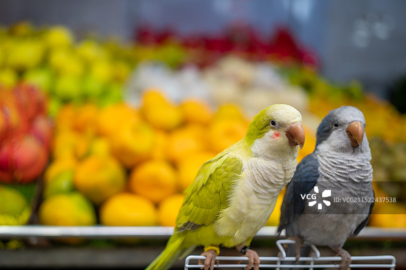 成都玉林纪实图片素材