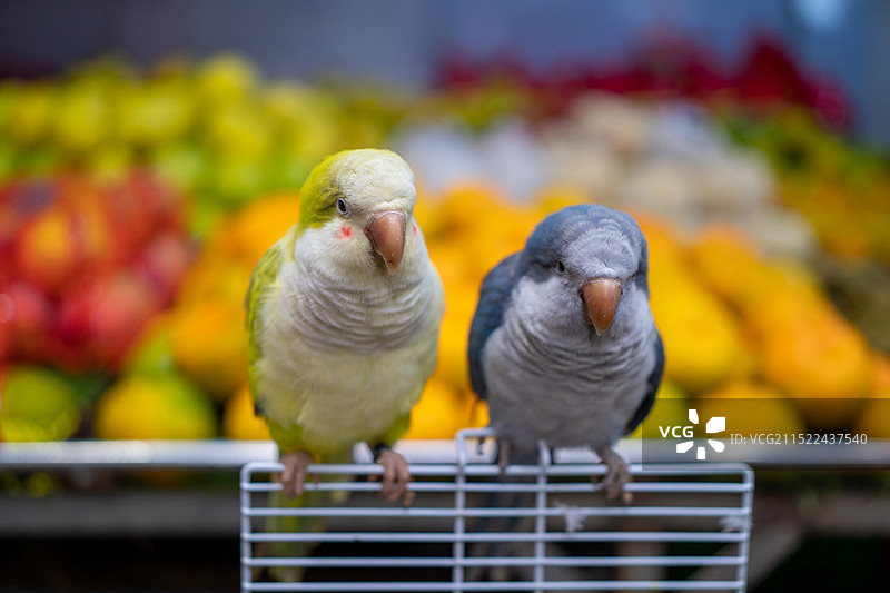 成都玉林纪实图片素材