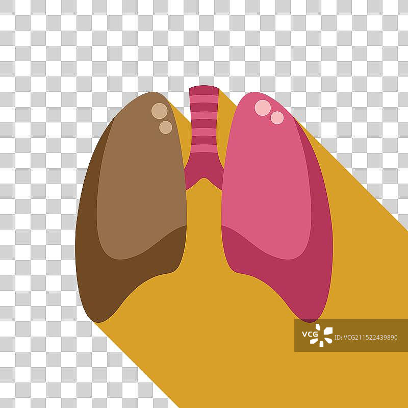 代表呼吸系统的人类肺部图标图片素材