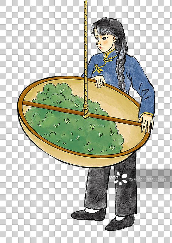 中国风水彩画红茶绿茶普洱茶制作过程与饮茶插画元素图片素材