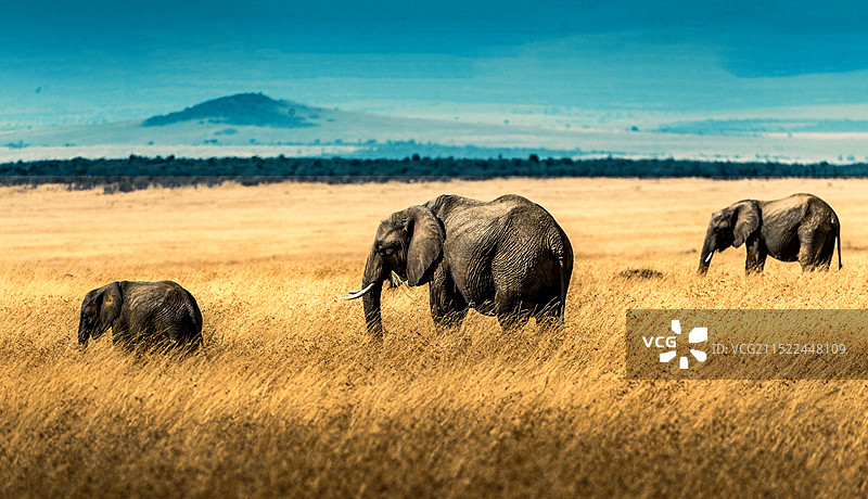草原秋色图片素材