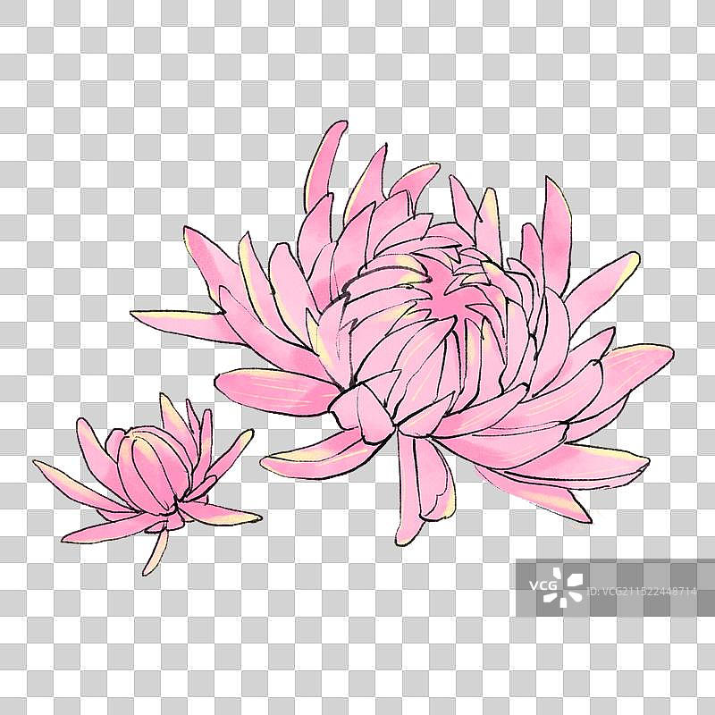 花卉元素图片素材