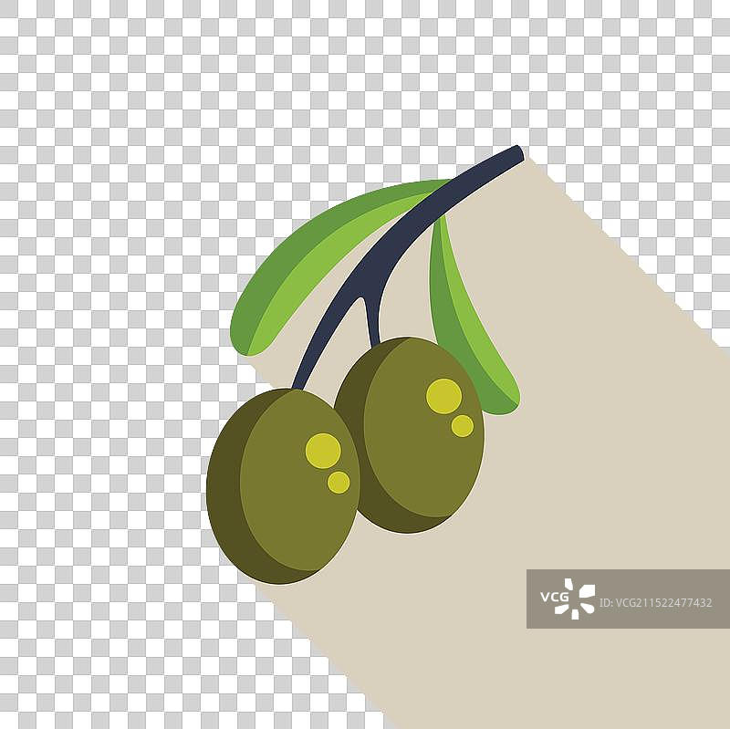 橄榄枝与橄榄果实图片素材