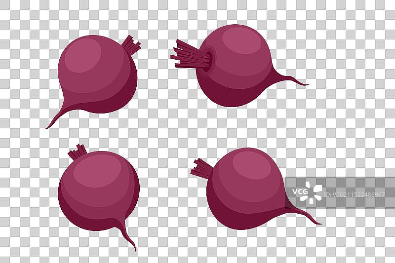 2.5D食物纯素主义维生素根菜类图片素材