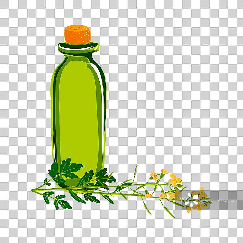 装有油和油菜籽植物的绿色玻璃瓶图片素材