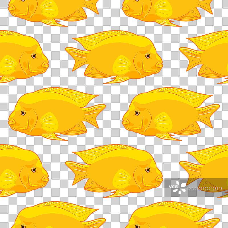 黄色热带鱼无缝水族箱图案图片素材