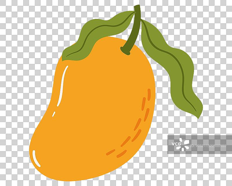 卡通手绘风格的芒果图片素材