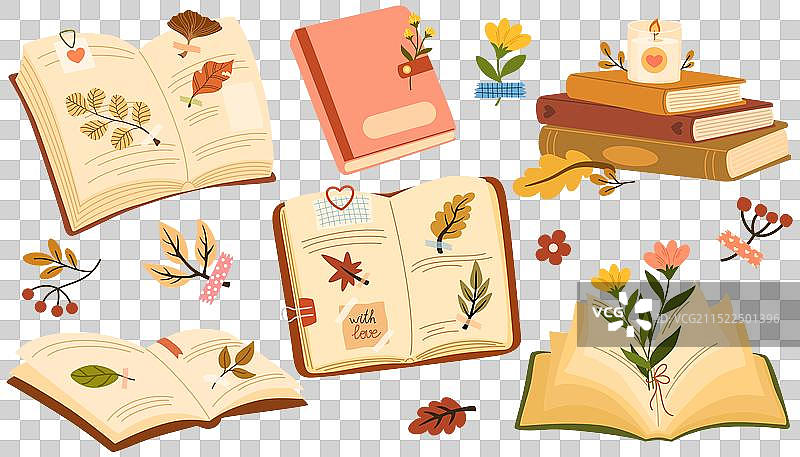 植物标本集图片素材