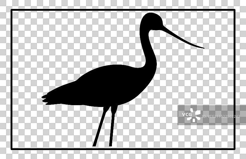 反嘴鹬鸟剪影图片素材