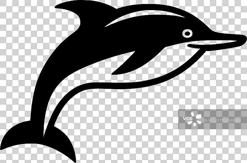黑白海豚图片素材