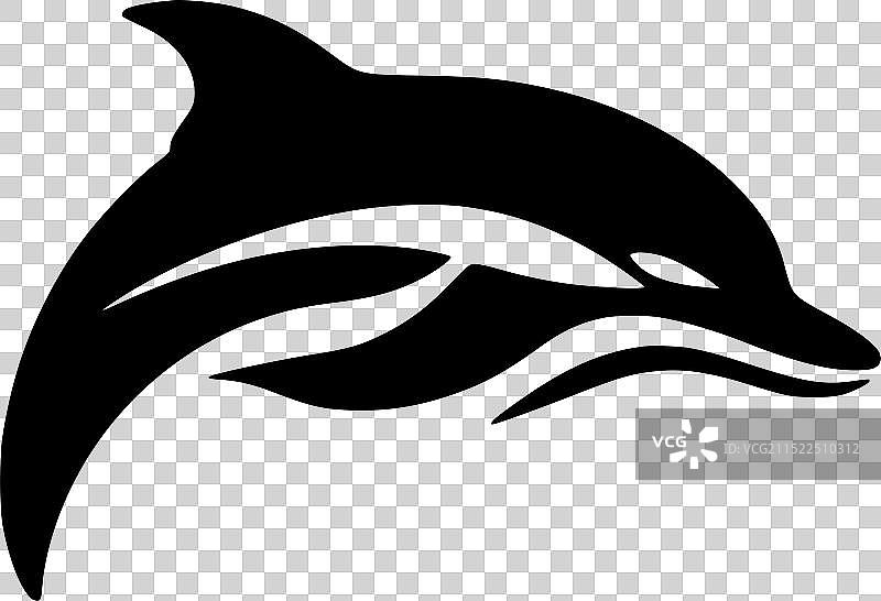 黑白海豚图片素材