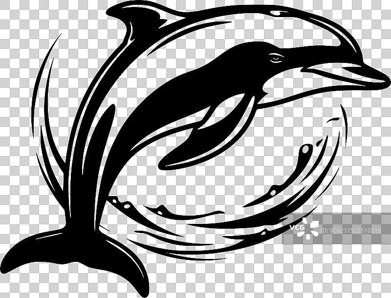 黑白海豚图片素材