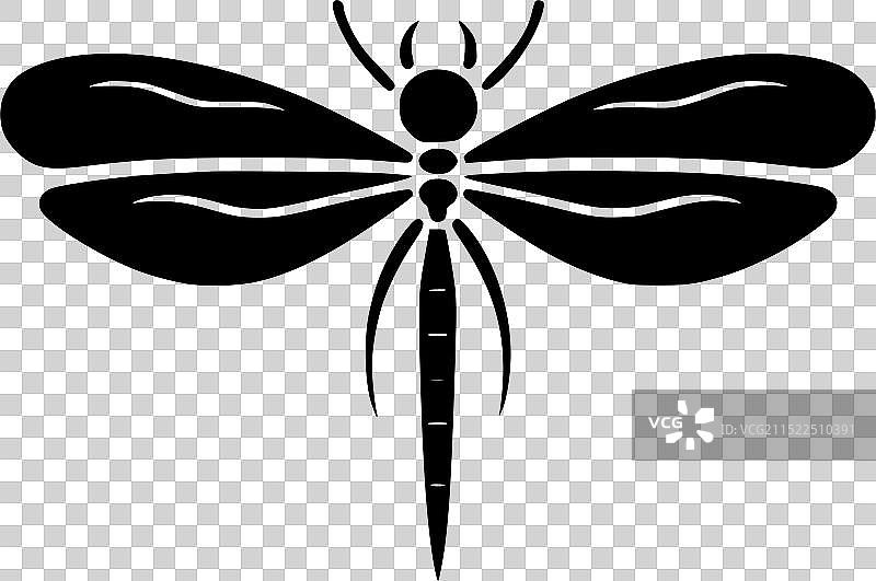 蜻蜓 - 黑白图片素材