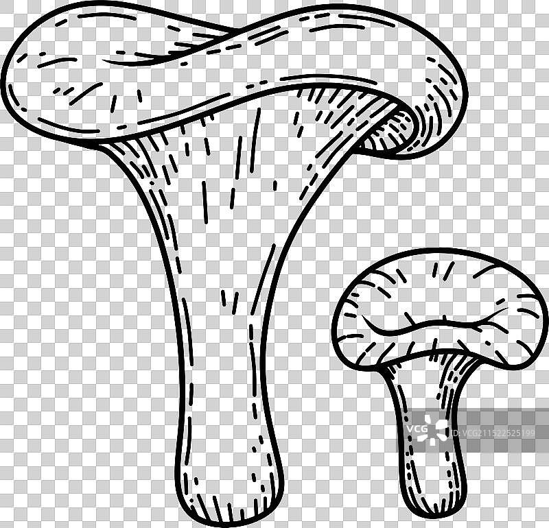 手绘蘑菇设计元素图片素材