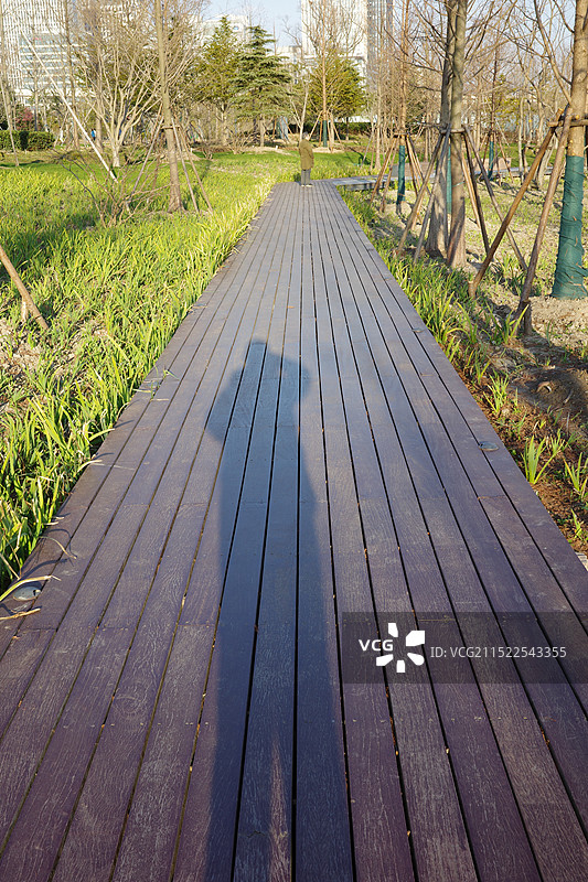 冬季二月份上海世博文化公园中心湖景色图片素材