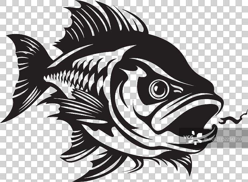 小河流水淡水鱼概念热带图片素材