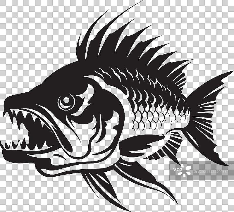 优雅的热带鱼河流设计图片素材