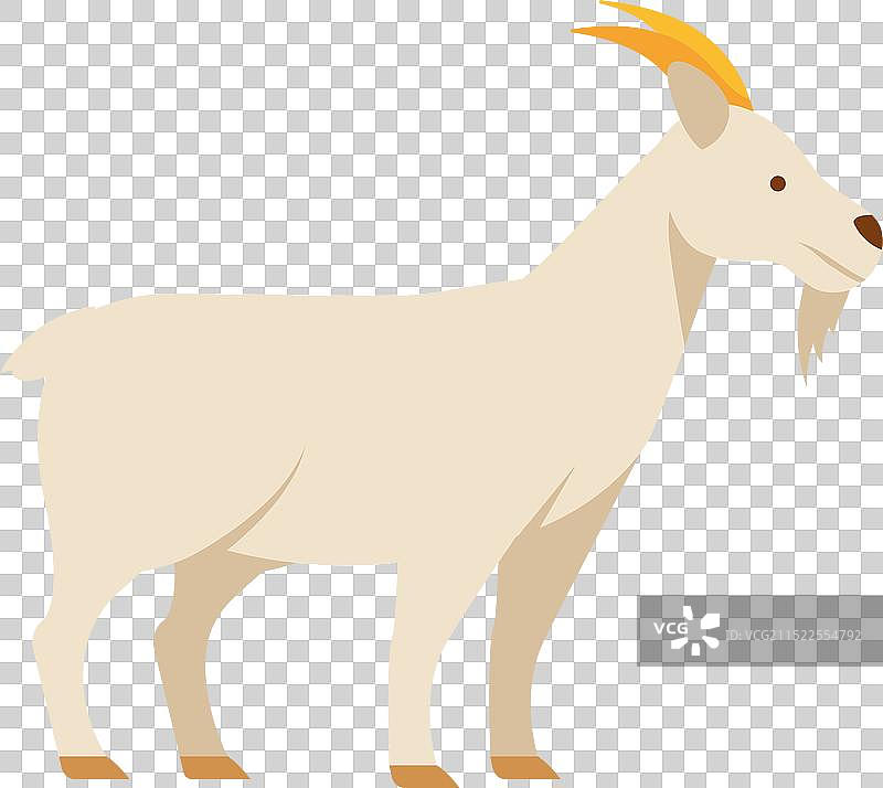 白山羊农场牲畜图片素材