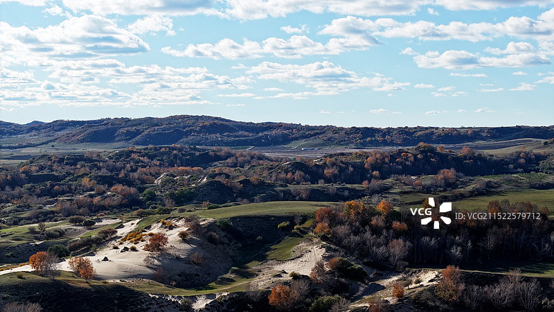 内蒙古浑善达克沙漠绿洲金秋美景图片素材