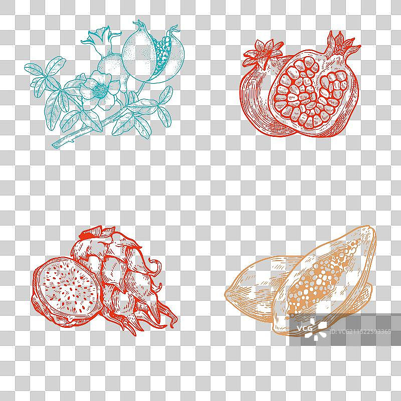 手绘版画风格水果剖面石榴火龙果木瓜包装插画图片素材