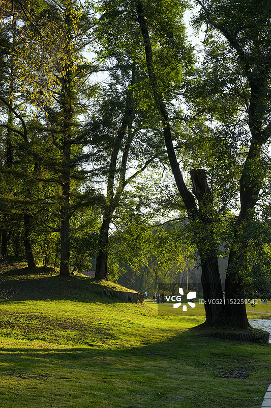 净月潭图片素材