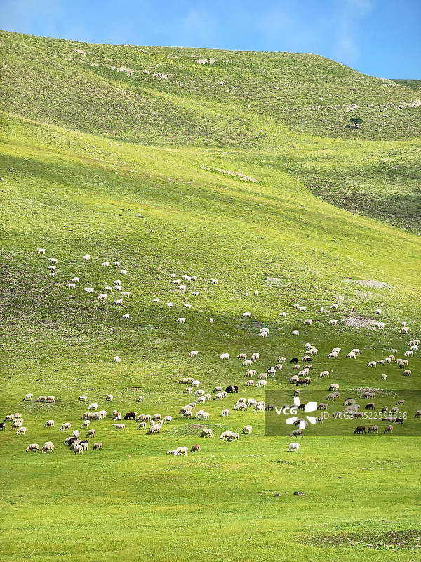 呼伦贝尔｜大草原图片素材