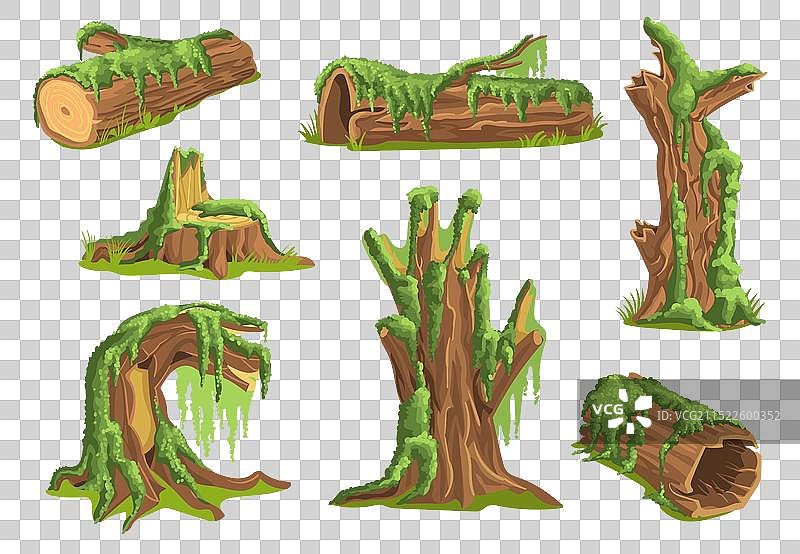 树桩上蓬松的苔藓植物图片素材